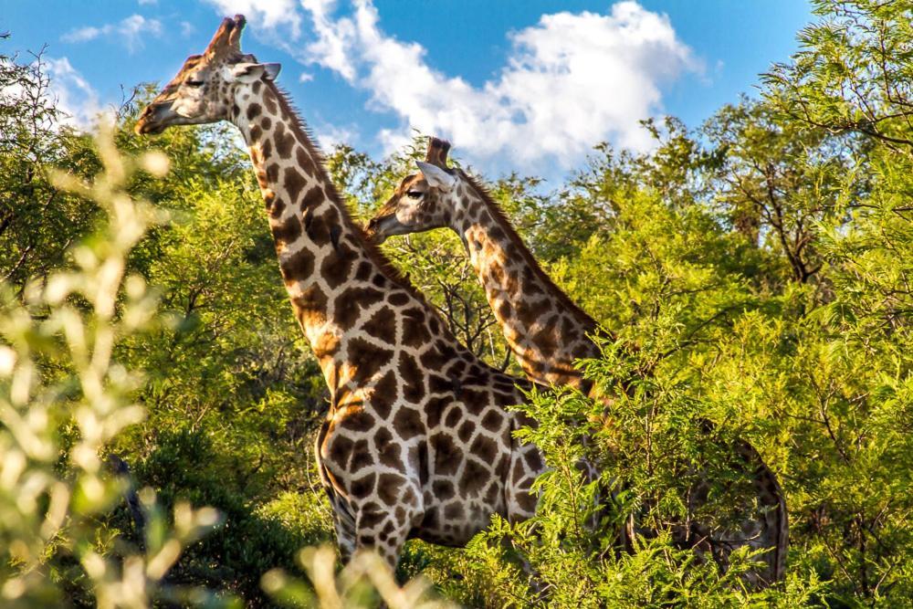 Big Valley Game Lodge Lobatse Exterior foto